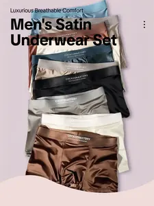 Men's Satin Underwear Set, Breathable & Lightweight Design, Comfortable All-Season Wear, Casual Fitted Style, Random Color Selection