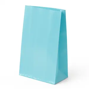 Small Plastic Party Treat Bags - 25 Pack