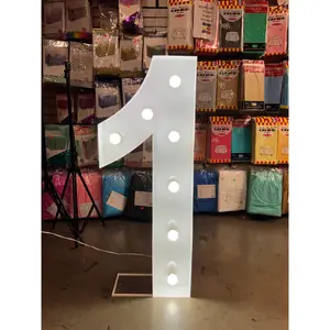 Marquee Light Up Numbers