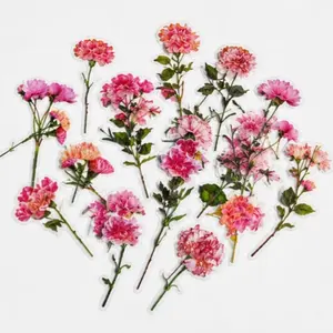Pink Flower Stickers Set | Floral Aesthetic Decor