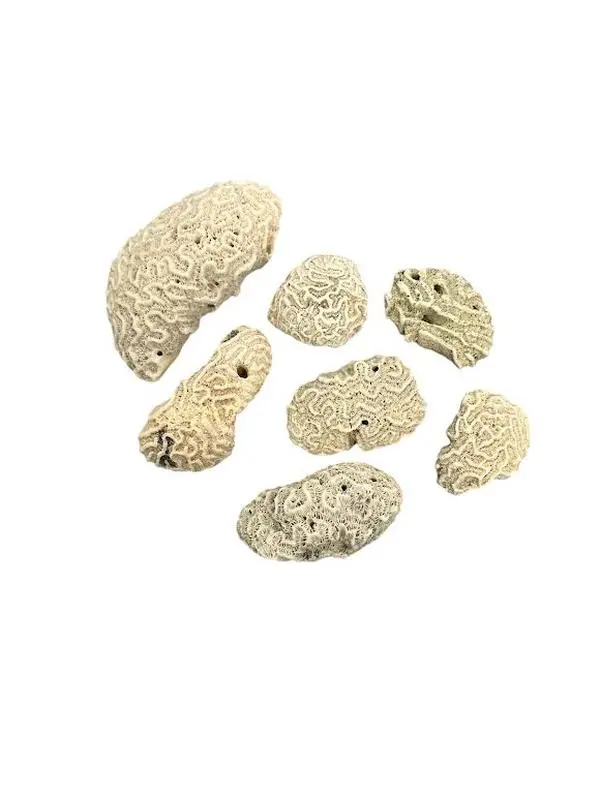 Ota San Lazaro Piedras Stone Nanu Nana Buruku Babaluaye ifa santeria Santo Decor Ornaments
