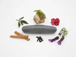 Charge and Charm - The Premium Tesla Air Freshener - Case and Fragrance