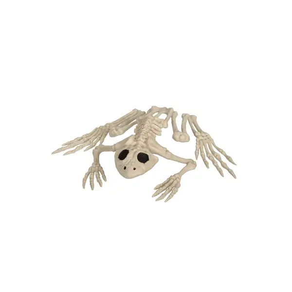8" Skeleton Frog Decoration