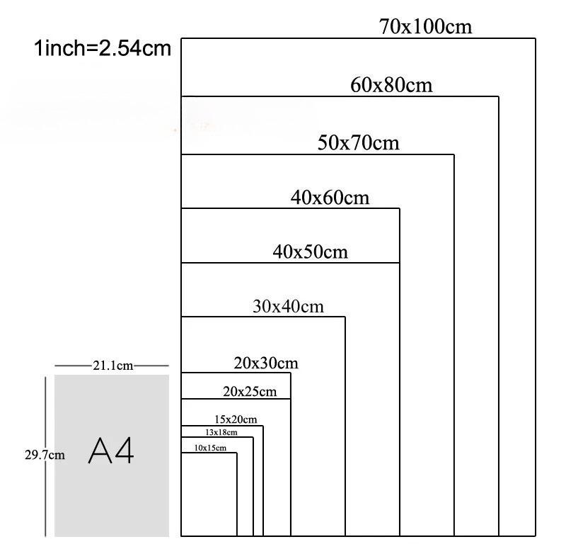 Vintage Japanese Racing Cars Magazine Cover Canvas Painting Art Poster Wall Decor