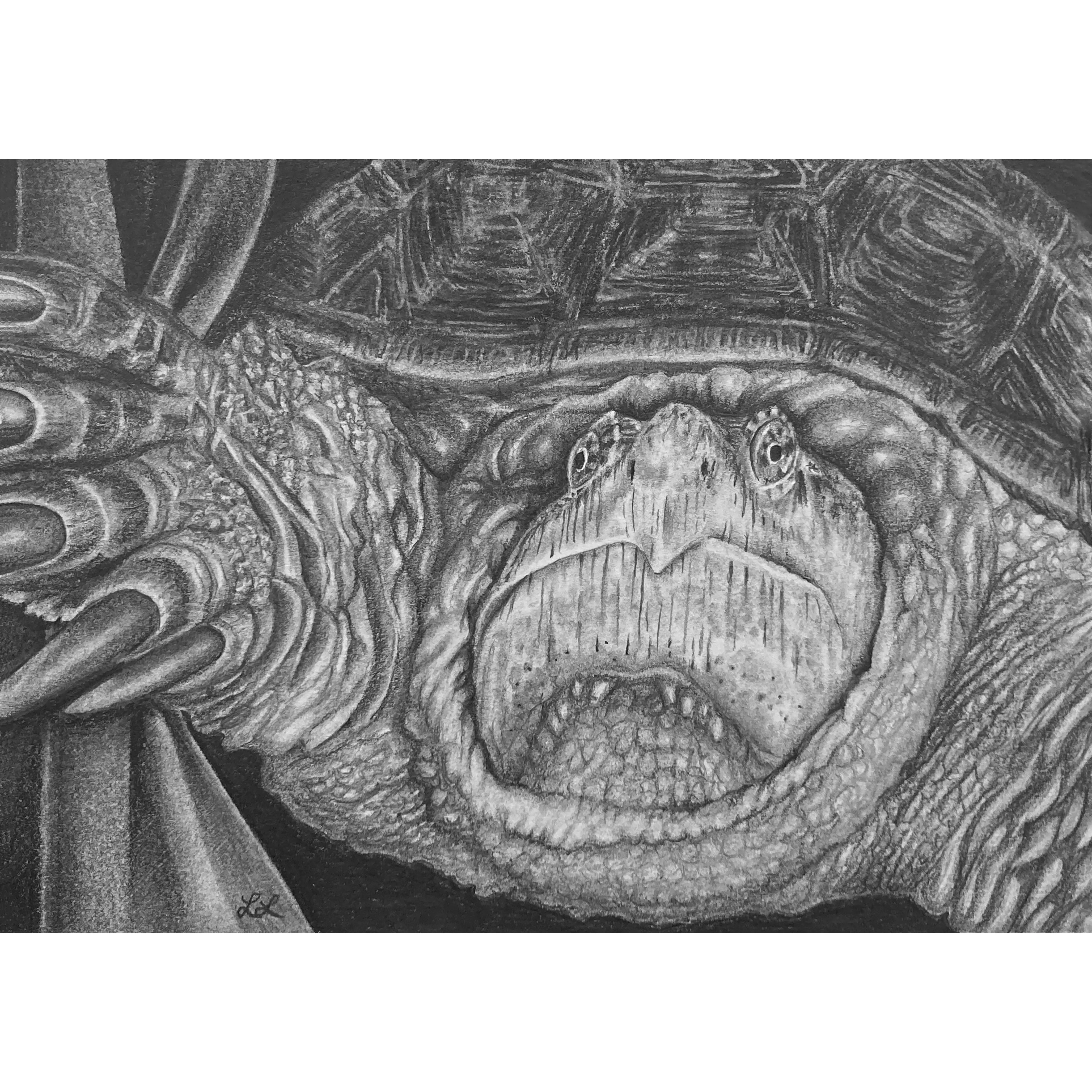 "Stage Fright" Art Print