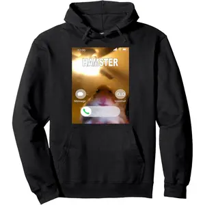 Hamster staring front camera hamster calling Pullover Hoodie