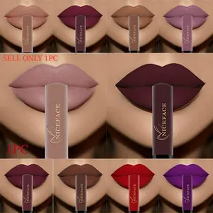 Highly Pigmented Matte Lip Glaze, Long-Lasting Smudge-Proof Non-Moisturizing Liquid Lipstick, Lipgloss, Makeup