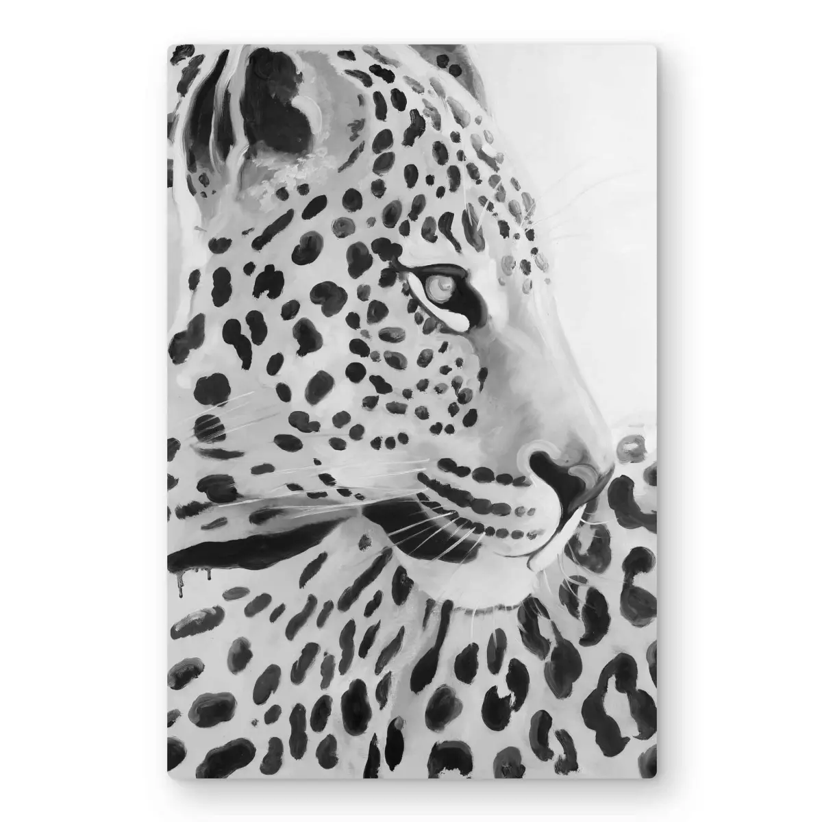 Begin Home Decor C1MP2030HTTG6I 20 x 30 in. Beautiful Leopard - White Metal Print Wall Art for Home Decor