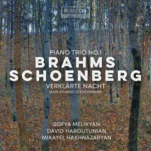 Sofia Melikyan - Brahms: Piano Trio No.1; Schoenberg: Verklarte Nacht  [COMPACT DISC - CD]