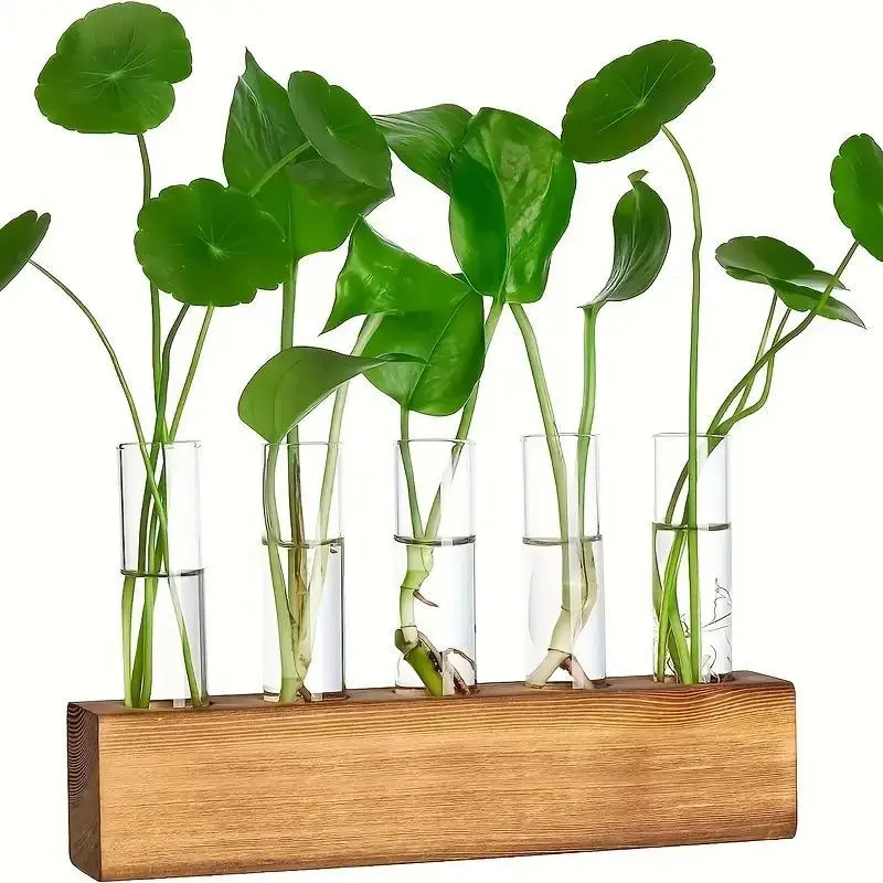 Wooden Plant Hydroponics Kit, Hydroponic Planters, Planter with Stand, 1 Box Including 5 Counts Glass Test Tube & 1 Count Wooden Stand, Home Decor Supplies for Living Room Bedroom Office