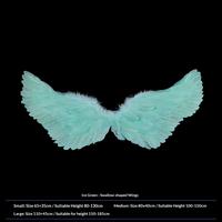 Ice green swallow-shaped wings