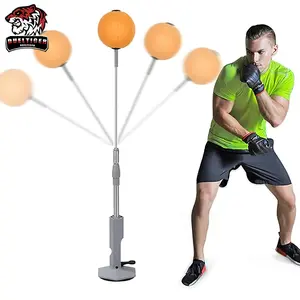 Lightweight Home Boxing Speed Bag