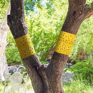 Double-Sided Adhesive Tree Pest Control Tape 100cm X 10cm, Garden Supplies, Protect Fruit Trees From Insects and Pests, Versatile for Gardens and Orchards