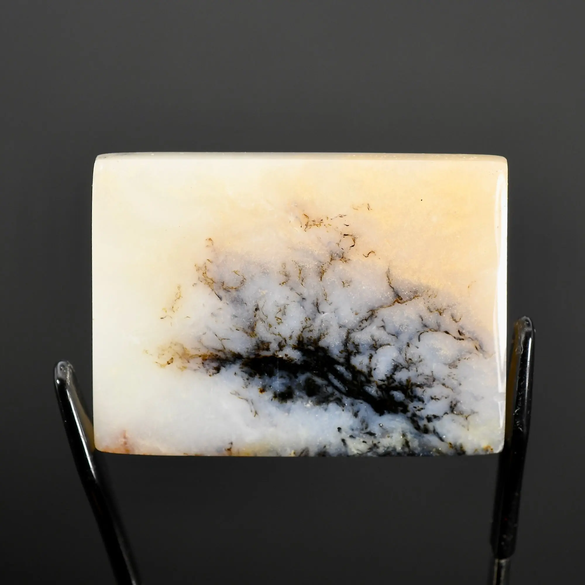 37mm Dendritic Agate Cabochon Rectangle, Indonesia g1