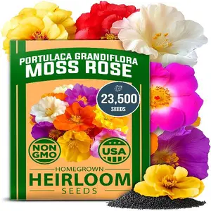 Home Grown Moss Rose Seeds - Heirloom Non-GMO Portulaca Seeds for Ground Cover - Bulk Pack - Annual Flower Seeds for Low-Maintenance Gardens