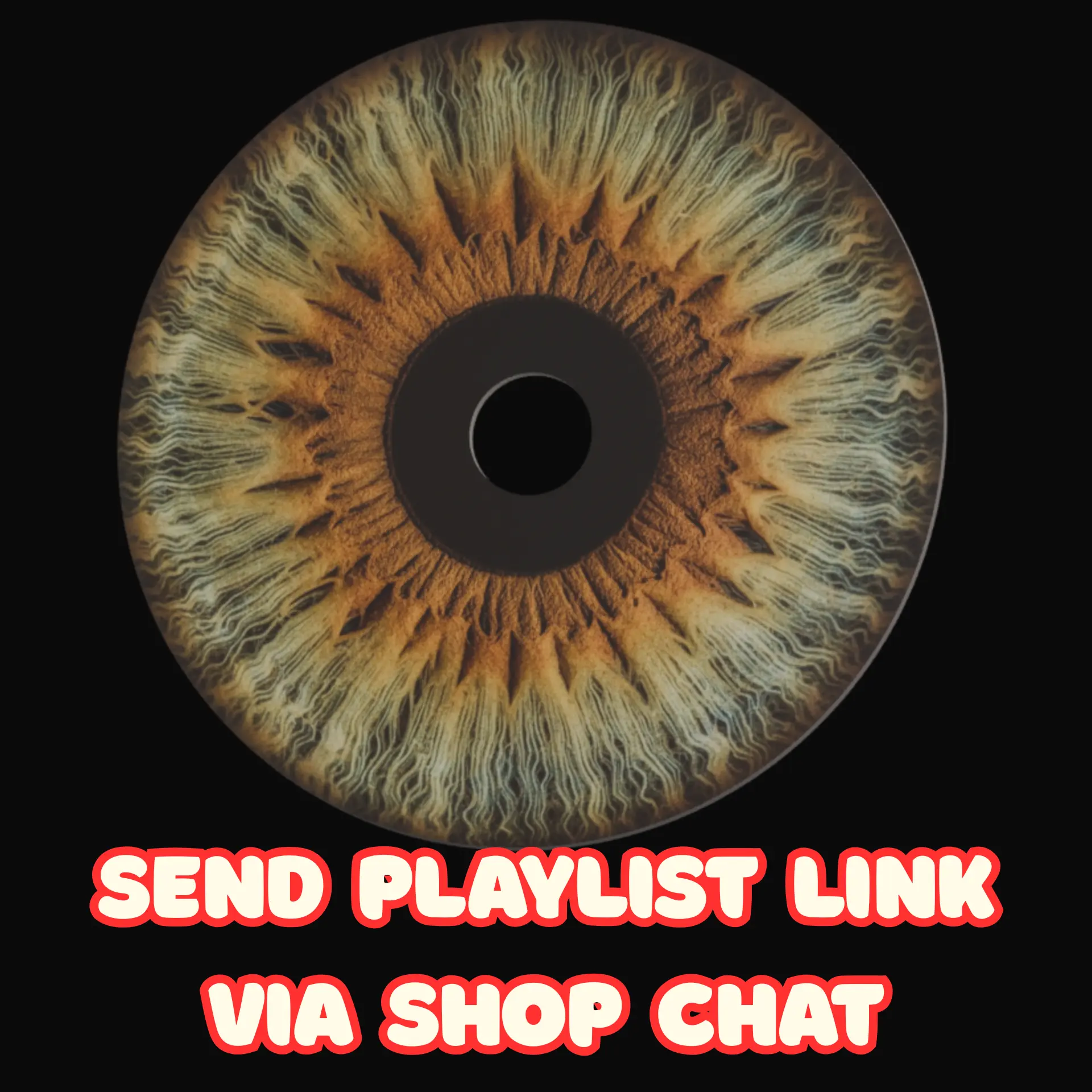13- Send Playlist In Shop Chat