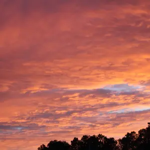 Yappy Daily Bible Verse Bracelet - Unisex, Fabric, Available in Small, Youth, Regular & Large Sizes (6.3 to 7 Inches)