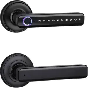 Finger print door lock