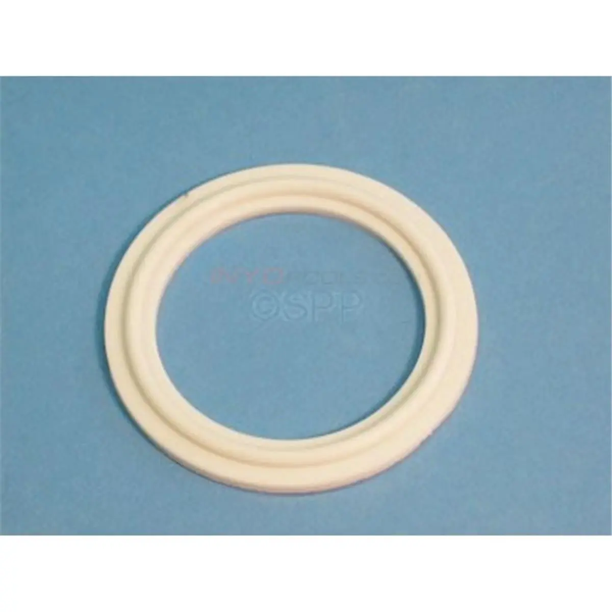 212 MAIN Round Waterway Plastics 2 in. O-Ring Gasket Heater, O-Ring Seal for Aquatic Fitness Equipment