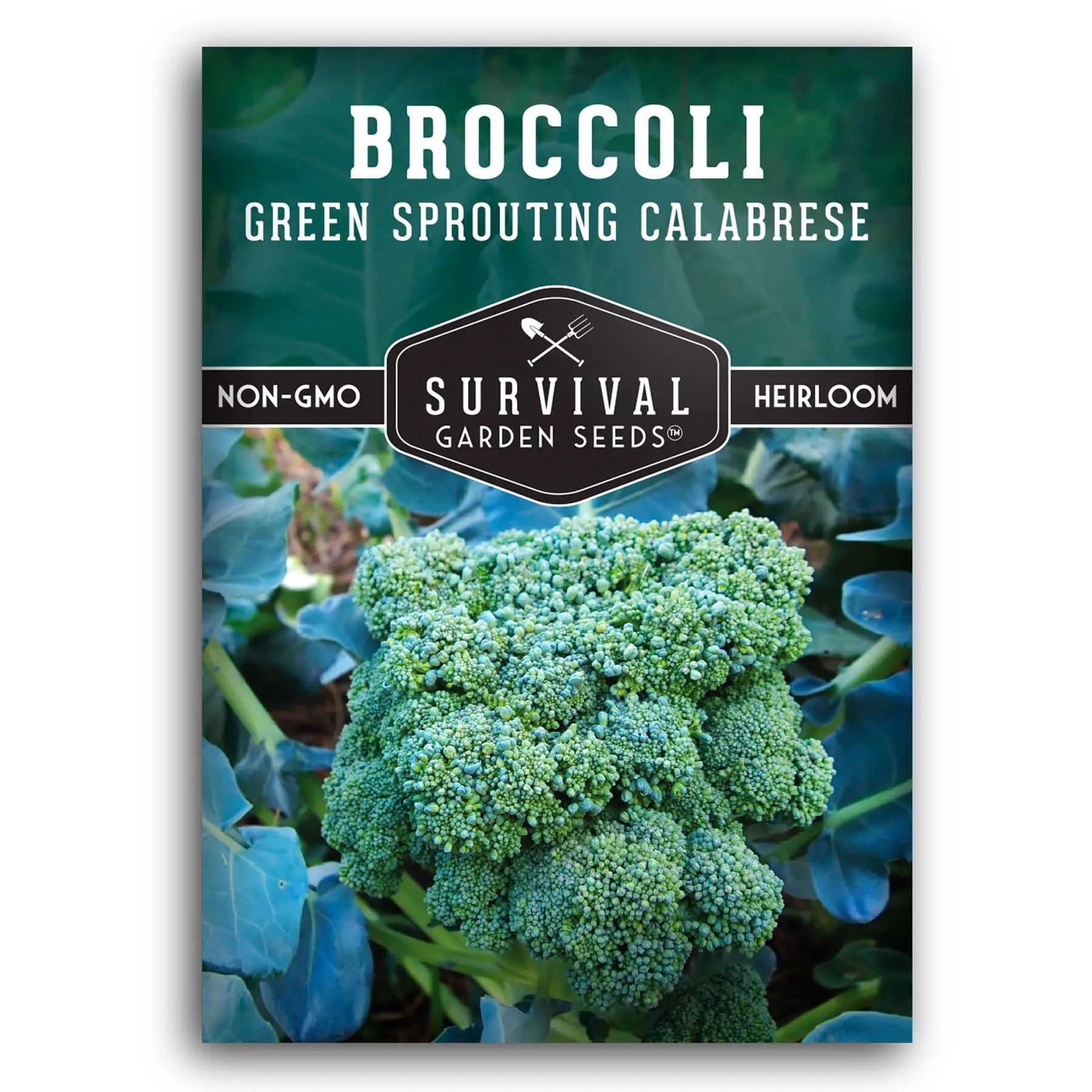 Green Sprouting Calabrese Broccoli Seeds Green Sprouting Calabrese Broccoli Seeds