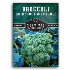 Green Sprouting Calabrese Broccoli Seeds