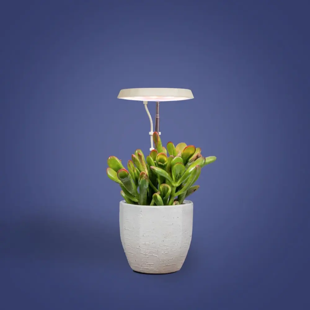 AeroGarden Stem Grow Light for Indoor Plants, Grow Live Plants Anywhere in the Home, Adjustable Light Modes