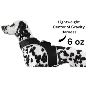 Pet Tracker Realtime GSM GPS Tracking Collars for Hunting Dogs Waterproof Size:XXL