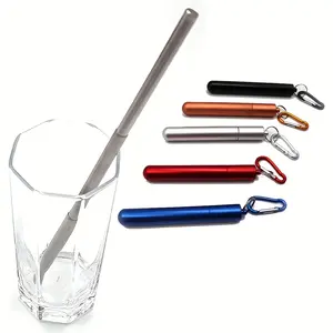 Portable Straw, Telescopic Stainless Steel Straw Set with Keychain Case for Travel, Camping & Daily Use, Boujee Kitchen Gadgets