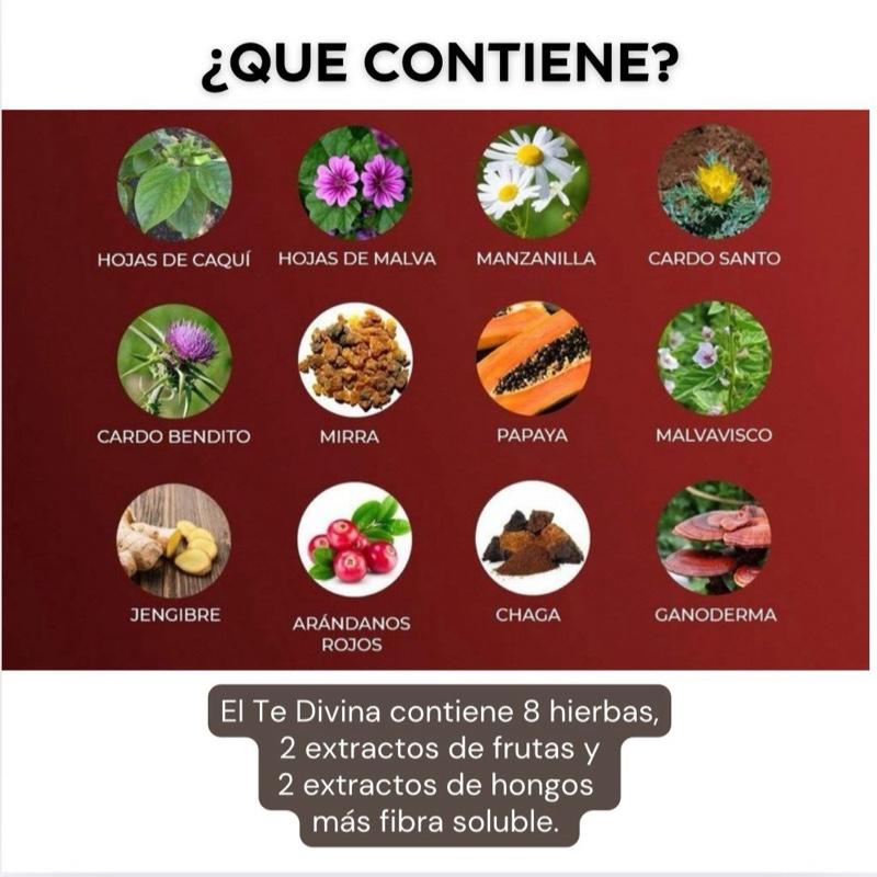 Te Divina Original Buy 4 Get 2 Free Herbal Tea Fruit Beverage 1 Sachet Caffeine-Free with Reishi & Chaga for Detoxification & Digestive Health - Drink Natural