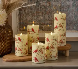 Temp-tations Seasonal Set of 5 Fiberoptic Candles