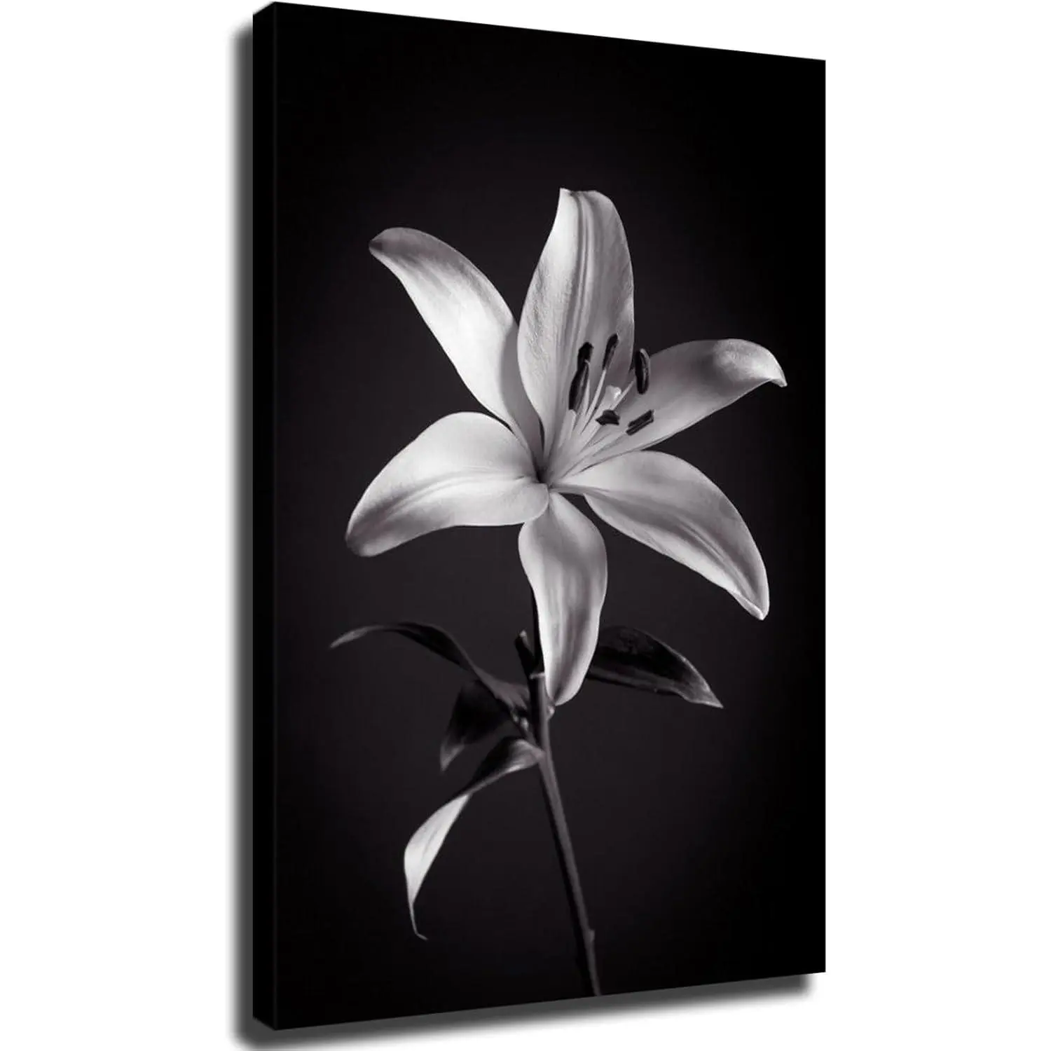 Generic Flower Black and White Lilies Wall Art Poster Canvas Wall Decor Living Room Bedroom Room Decor Printin Pictures (8x12inch-No Framed)