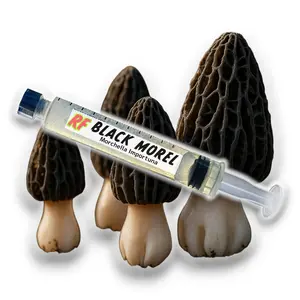 Black Morel (Morchella Importuna) Liquid Culture