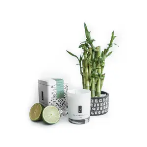 Meditation - Bamboo, Amber and Aloe Soy Candle