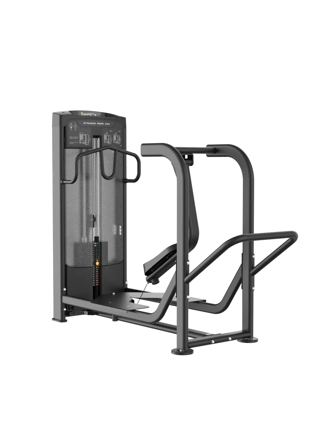 Standing Rear Kick DRE8032