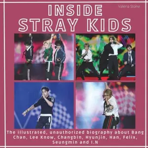 USED-Inside Stray Kids: The illustrated, unauthorized biography about Bang Chan, Lee Know, Changbin, Hyunjin, Han, Felix, Seungmin and I.N by Valeria Stone (Paperback)