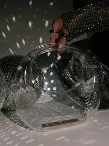 Sasha Clear Acrylic Handbag - Clear