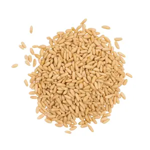 Eastanbul Mediterranean Turkish Raw Unsalted Non-Asian Pine Nuts, 2.8oz