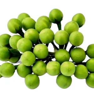 zanmoret berry seed