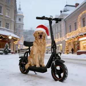 500W E-Scooter 48V 10.4Ah for Commute & Shopping