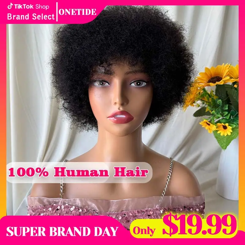 Glueless Wigs Human Hair Afro Kinky Curly Natural Color Wig For Women 100% Human Hair Soft and Fluffy Glueless Wigs 80s Kinky Curly Wig Cosplay or Dai
