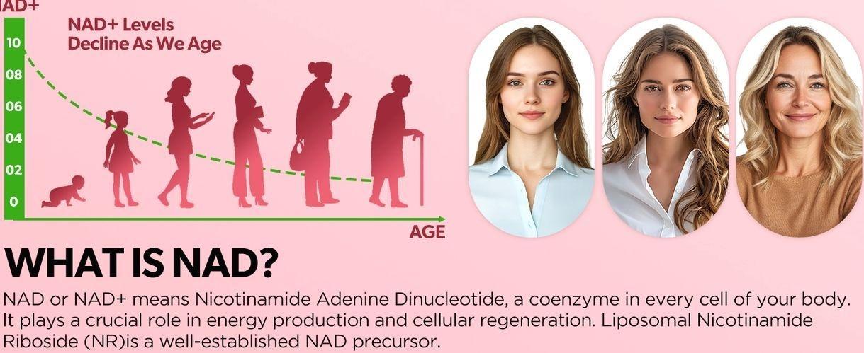 NAD Liquid Supplement for Women, Liposomal NAD+ Drops 1200MG with NAD Plus Resveratrol, Tmg, Quercetin, Anti-Aging, Cell Regeneration, Energy & Metabolism Support, Strawberry Flavor