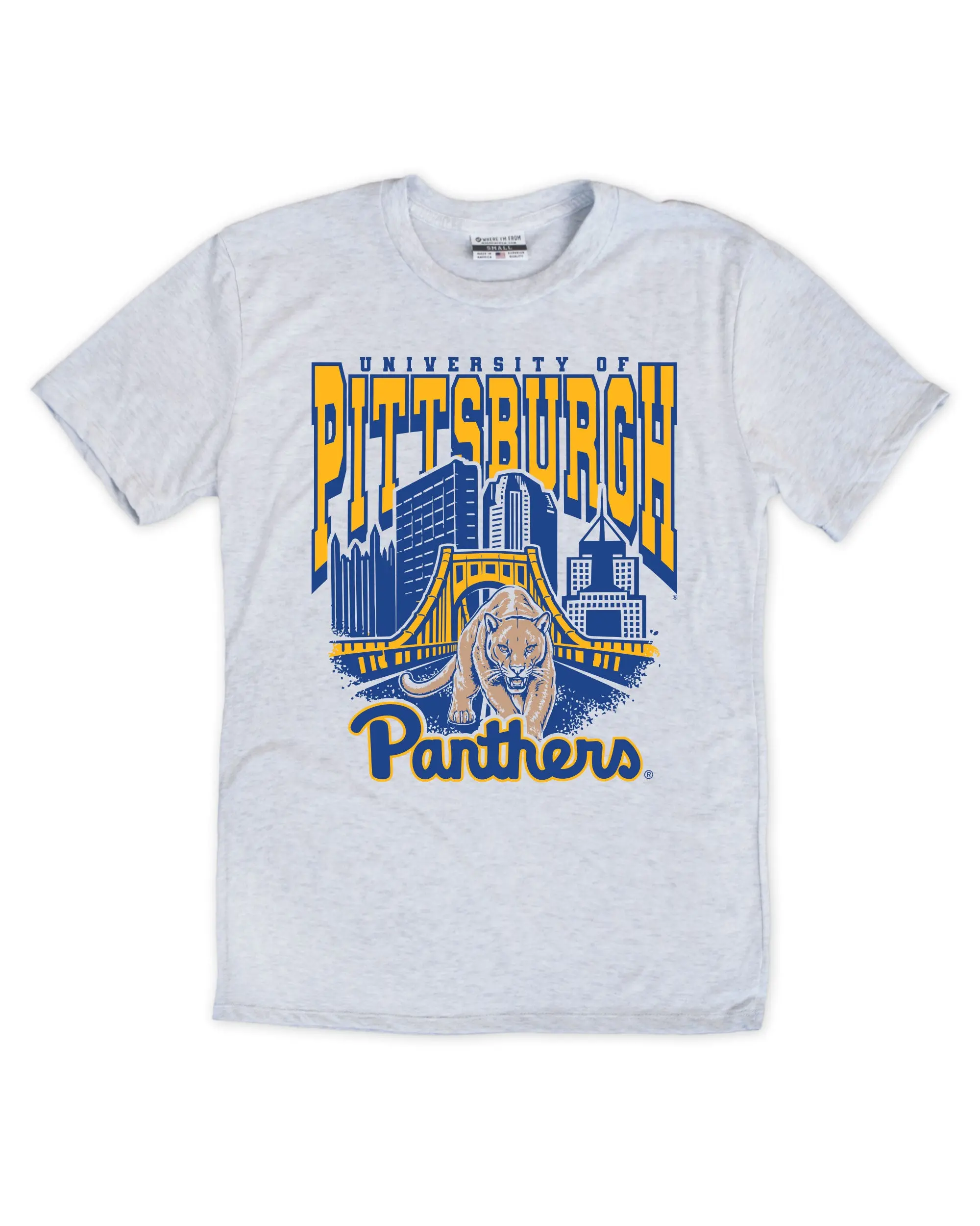 Pittsburgh Panther Skyline Tee