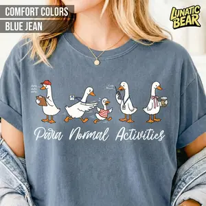 Comfort Colors Paraprofessional Silly Goose Shirt, Para Normal Activities Tee, SpEd Teacher Aide Gift, RBT Appreciation Shirt