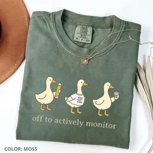 Funny Teacher State Testing Goose Shirt, Comfort Colors Test Day Graphic Tee, Testing Coordinator T-shirt, Teacher Appreciation Gift