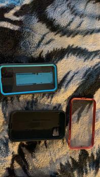 product review image from Frank Wilt DeMarco 1