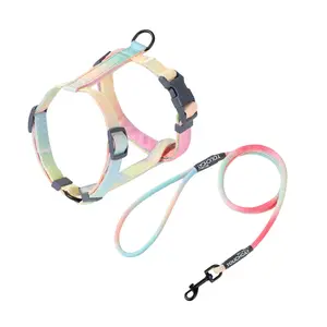 Touchcat Rainbow Patterned Fashion Cat Harnessand Leash