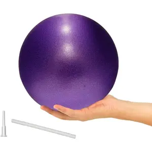 9-Inch Anti-Burst Slip Resistant Pilates   Yoga/Barre/Stability Training/Gym/Physical Therapy, Mini Exercise   Core Strength & Balance Improvement Home Workout Equipment for Ball