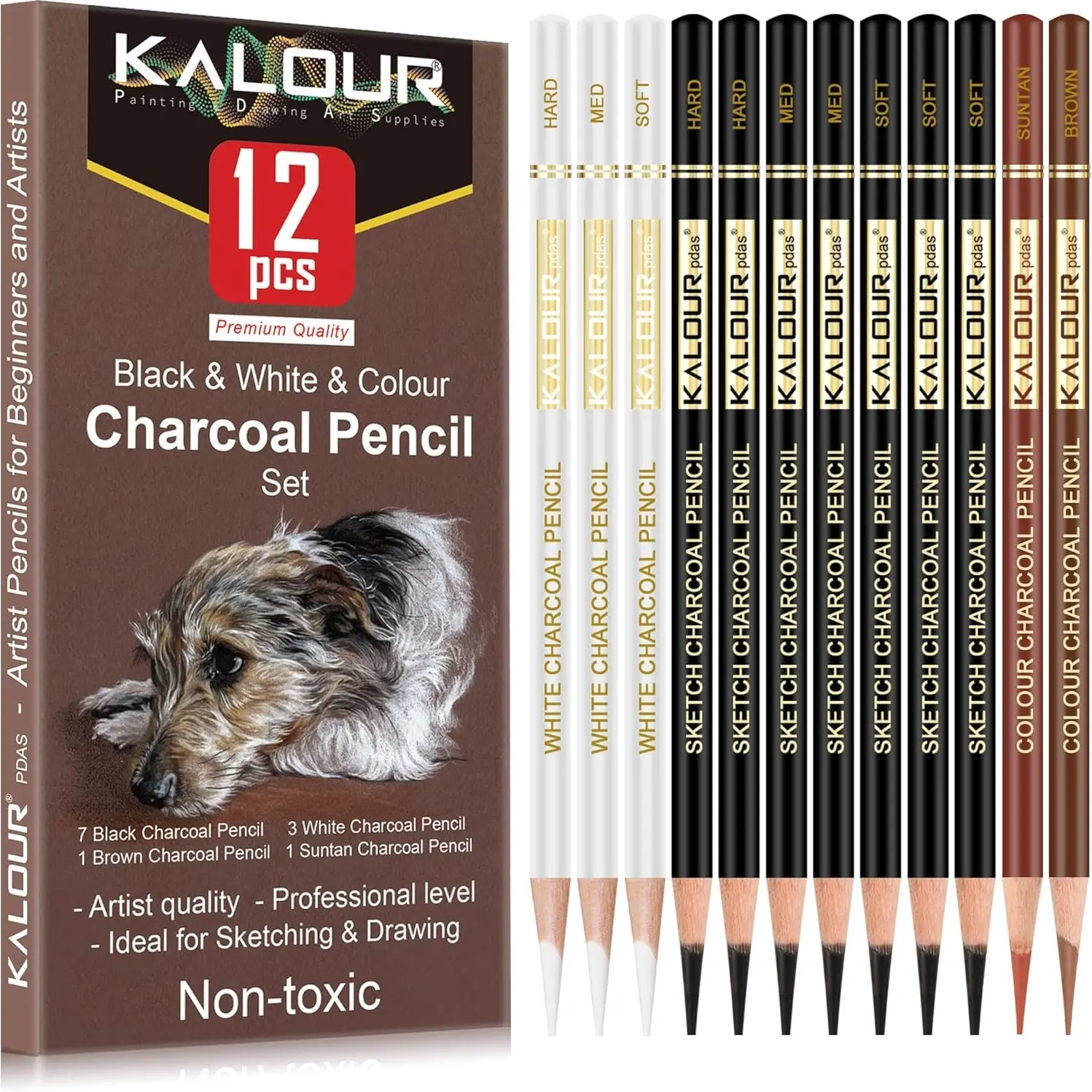 Charcoal Pencil Set, 12pcs/set Drawing Sketching Pencil, Professional Art Supplies, Artist Supplies for Students Home School Office, Classroom Supplies, Art Materials