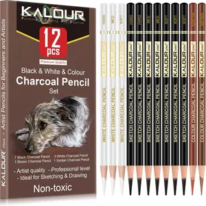 Charcoal Pencil Set, 12pcs/set Drawing Sketching Pencil, Professional Art Supplies, Artist Supplies for Students Home School Office, Art Materials