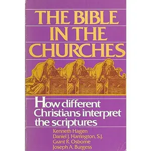 USED-The Bible in the Churches: How Different Christians Interpret the Scriptures by Kenneth Hagen (Paperback)
